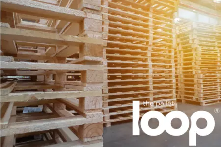 Pallet Loop Thumbnail