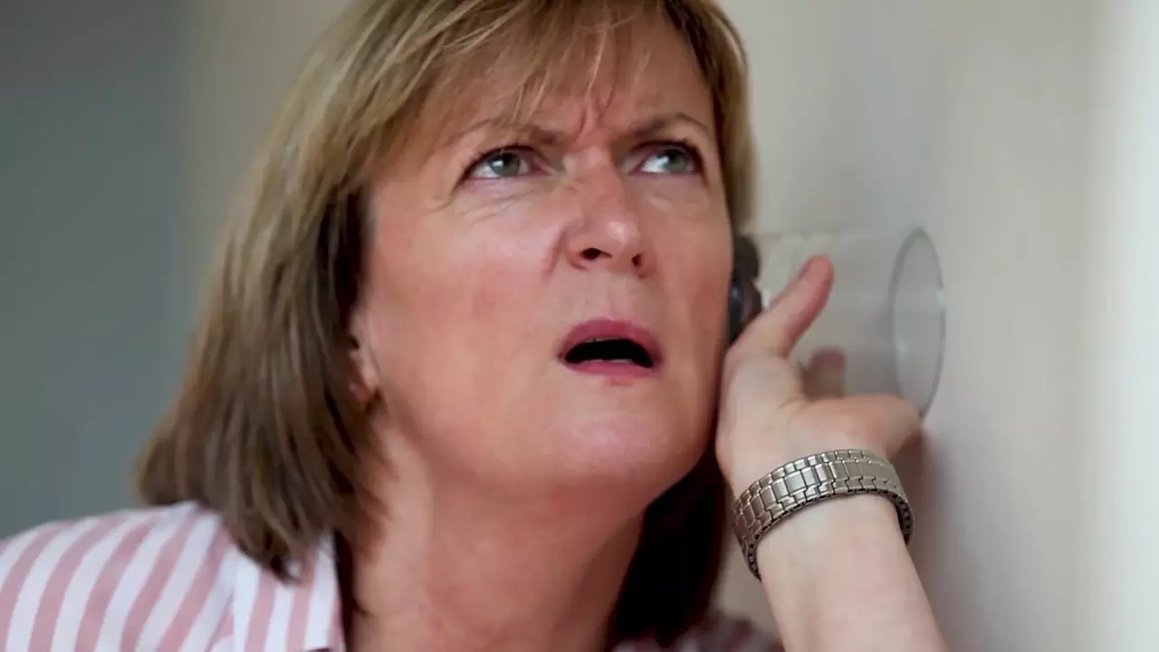 Nosey Neighbours - Isover Saint-Gobain - Calibel & Acoustic Insulation thumbnail